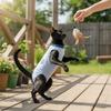 Breathable Cat Recovery Suit Thin Cat Weaning Suit Cute Cat Sterilization Clothes  Post-Surgery