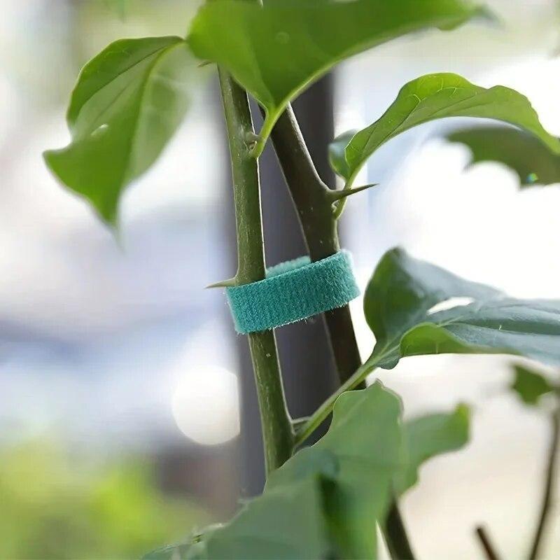 5M Nylon Plant Bandage Tie Reusable Plant Hook Loop Ties Green Fastener Tape Bamboo Cane Wrap Support Home Garden Accessories