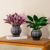 Selbstbewässernder Topf für Zimmerpflanzen Kleiner Kunststoff-Blumenpflanztopf mit Dochtseil und Reservoir für Usambaraveilchen, Grünlilie, Orchidee