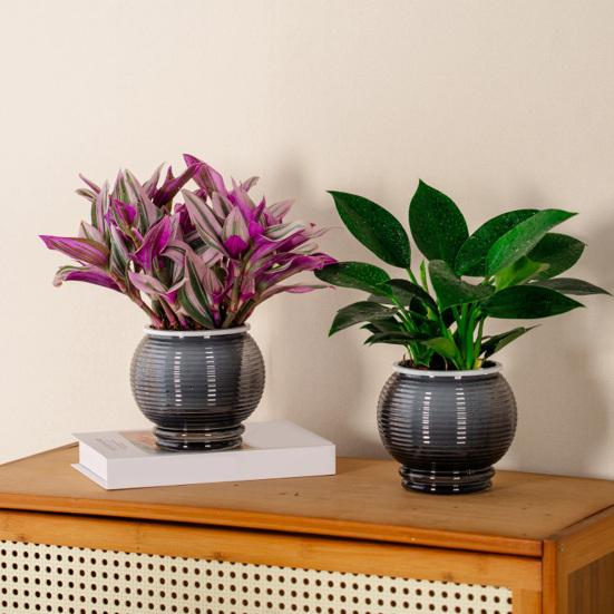 Selbstbewässernder Topf für Zimmerpflanzen Kleiner Kunststoff-Blumenpflanztopf mit Dochtseil und Reservoir für Usambaraveilchen, Grünlilie, Orchidee