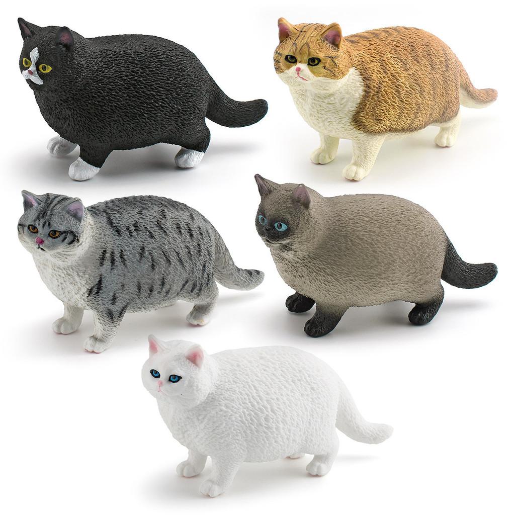 Black Cat Pvc Animal Model For Educational Playroom Decor Collectors Item
