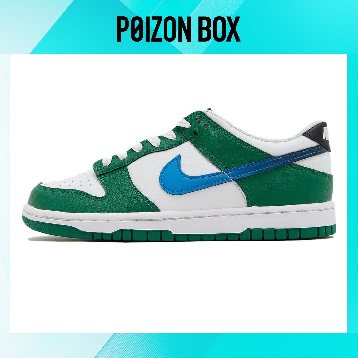 

кроссовки Nike Dunk Skateboarding Shoes Men FZ4357-300