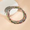 Salircon Bohemian Mixed Color Seed Bead Clavicle Necklace Trend Acrylic Rice Bead Beaded Choker Women's Summer Beach Jewelry