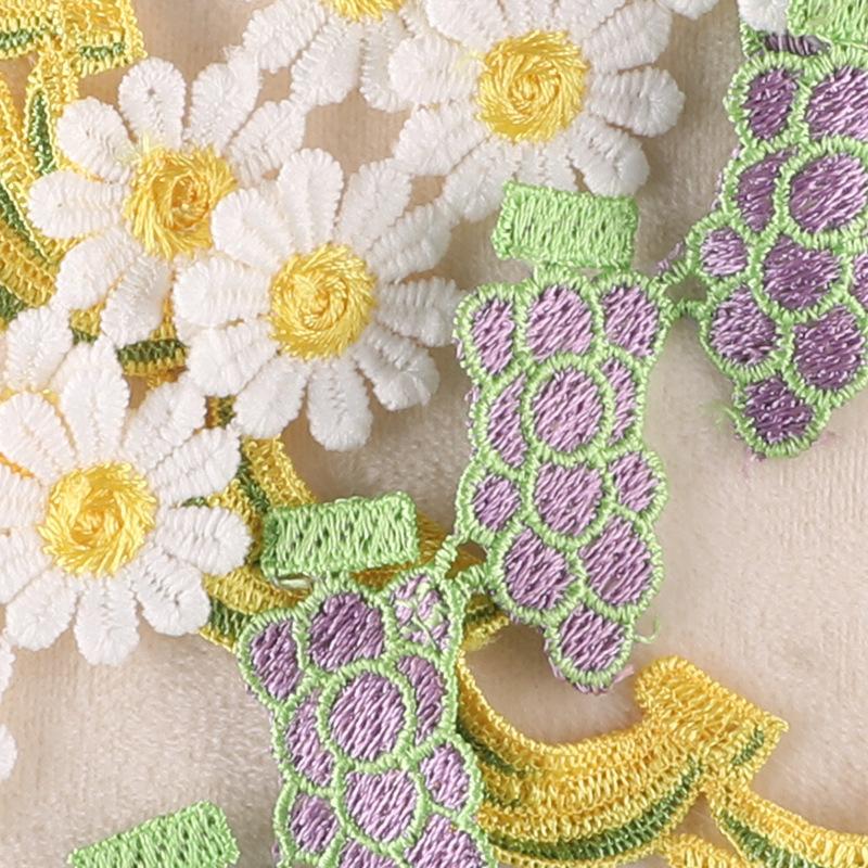 Computer Embroidery Cartoon Fruit Butterfly Lace Petal Hand Account Diy Clothing Accessories Water Soluble Embroidery Ribbon Cloth Sticker