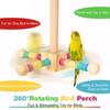 Chew-Proof Construction Wood Bird Training Stand Parrot Play Rack  Small Medium Animals