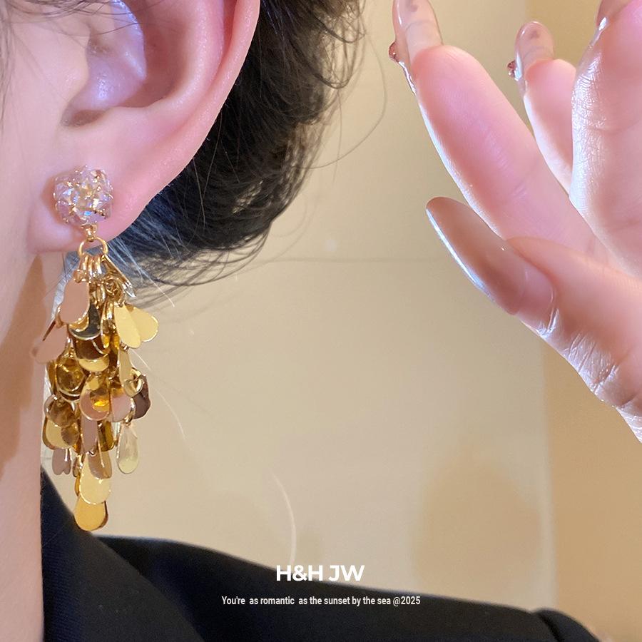 Silver needle zircon water drop iron sheet fringed earrings women's niche design stud earrings light luxury high-end earrings women