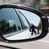 6Pcs 3 Styles PVC Heat Transfer Film Stickers for Rearview Mirror Orangutan 50x30~50mm 2pcs/style