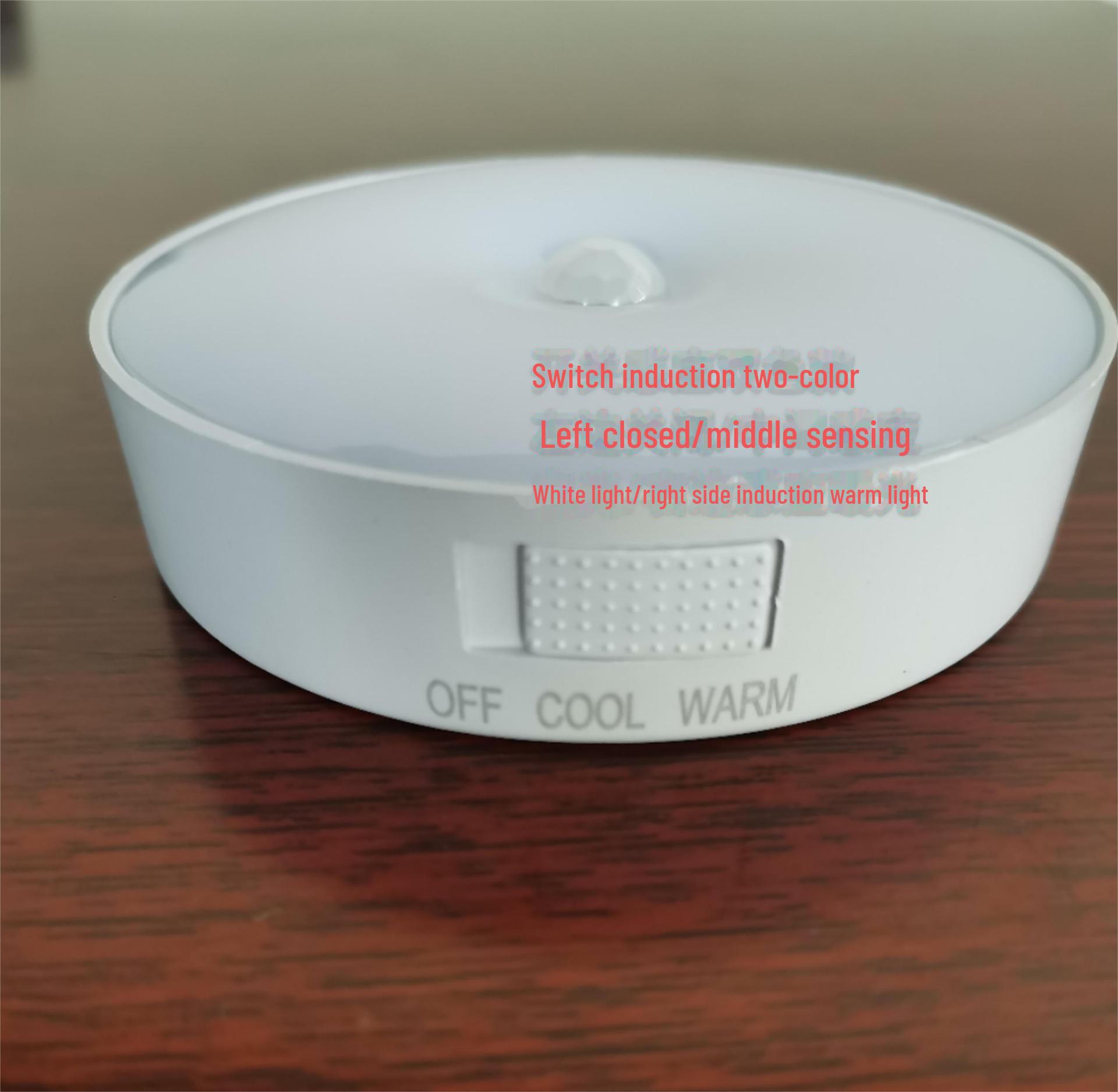 

Ночной светильник с датчиком движения Smart Motion Sensor — перезаряжаемые и всегда включенные варианты для общежитий и домов Switch Induction Dual Color