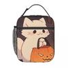 Sac à lunch isotherme motif chaton mignon et lanterne citrouille pour femmes enfants Boîtes alimentaires portables Boîte à lunch thermique Sac fourre-tout