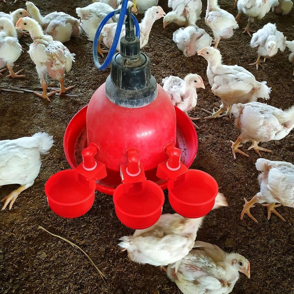 2-10PCS Chicken Drinking Bowl Plastic Automatic Filling Quail Poultry Water Dispenser Duck and Pigeon Free Range Chicken Waterer