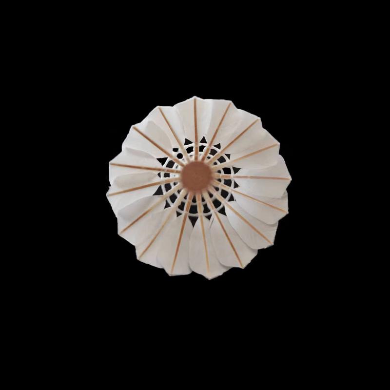 

Durable Black Gold Badminton Shuttlecock Set - 12 Pack