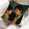 R-Revenged Love Movie Cushion Cover Pillow Cover Decor Pillowcase Printed Cushion Case For Couch