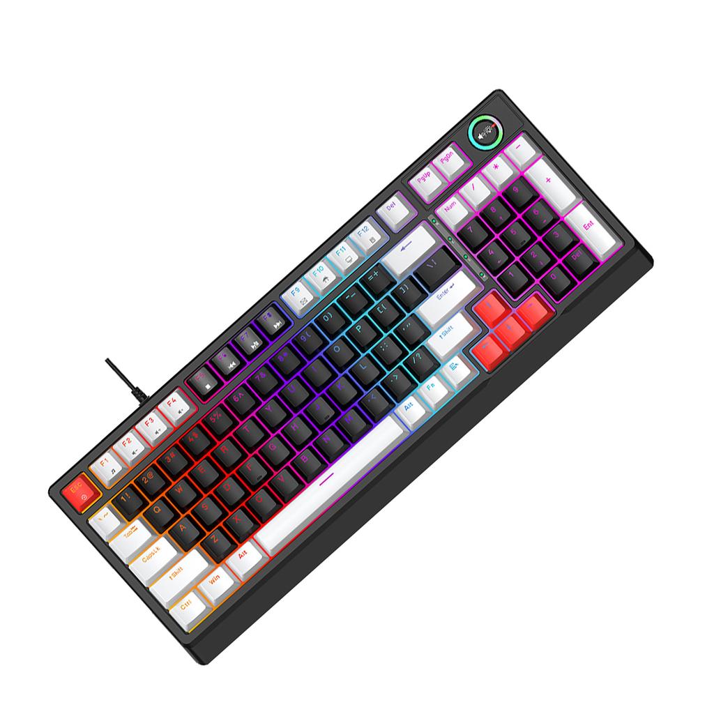 T WOLF T50 RGB Mechanische Tastatur 98 Tasten Hot-Swap Blue Switch mit Dynamischer Beleuchtung Ergonomisches Design für PC
