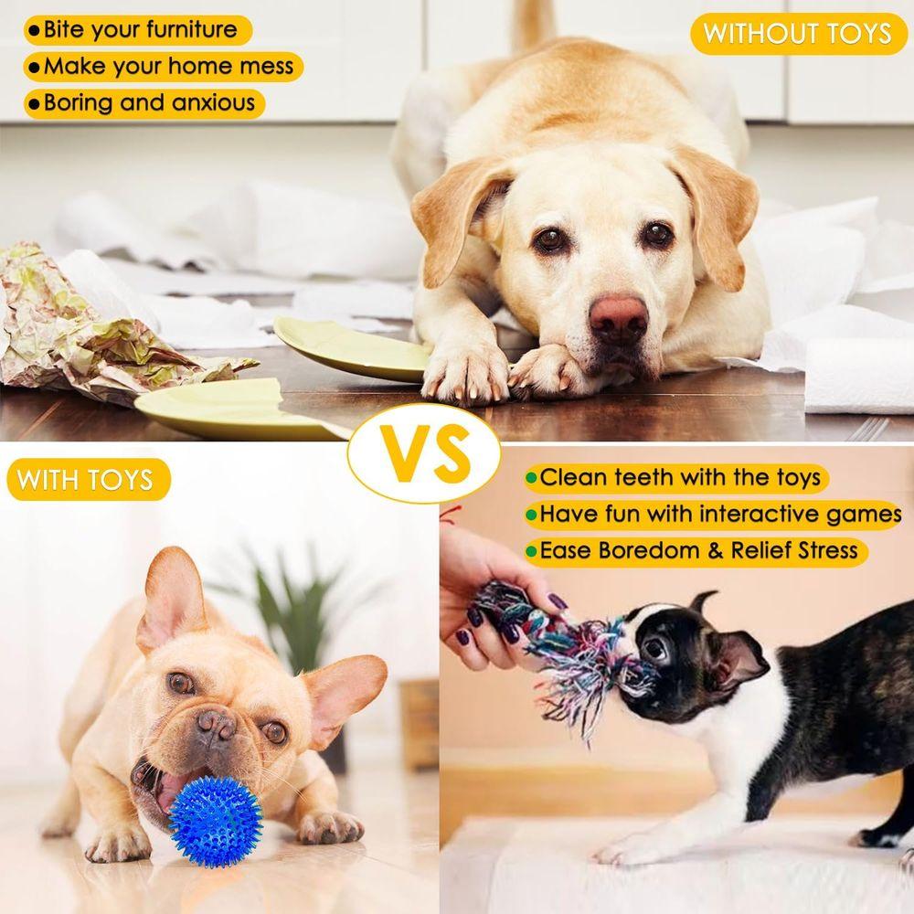 Dog Toys 25 Pack for Puppy Chewing and Teeth Cleaning, Plush Toys, Squeaky Balls, Tug O War, Rope Toys for Small Dogs