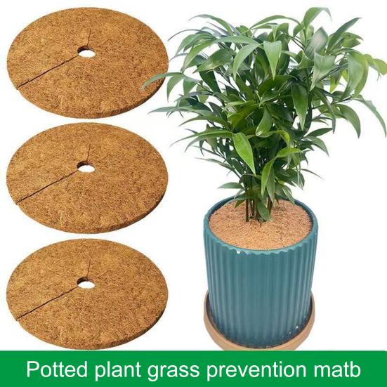 20/30/40CM Coconut Fiber Mulch Ring Natural Coconut Coir Tree Protector Mat Discs Indoor Outdoor Plants Pot Soil Cover Ring