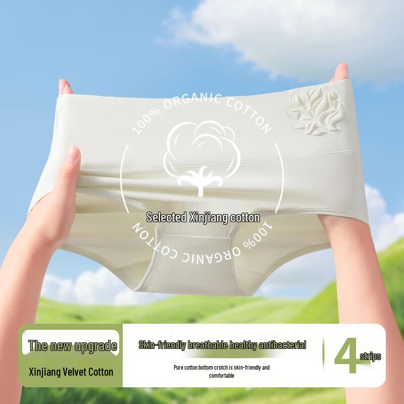 LangSha Women's High-Waist Tummy Control Cotton Briefs (4-Pack)