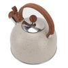 Whistling Kettle 2.5L Capacity Stainless Steel Stovetop Teapot for Water Boiling