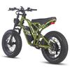 Electric Bicycle FAFREES F20 Ultra 20" 750W Motor Electric Bike Adult Top Speed 40Km/h 48V 25AH Range 140Km Load 180Kg