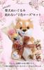 liLYS Preserved Flower Shiba Inu Plush Toy with Single Perfect Gift for and Birthdays Pink and épice Rose, Celebrations, Anniversaries, (Shiba Inu,