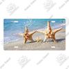 Putuo Decor Beach Licenses Plate Vintage Tin Sign Plaque Metal Car Plate for Living Room Door House Home Wall Art Decor