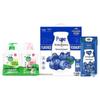 Hand Wash (Moisturizing & Classic Pine) and Pure Zhen Blueberry Yogurt Bundle