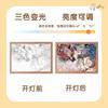 Heaven Official's Blessing Painting Lamp Tian Guan Ci Fu Night Light for BL Fans
