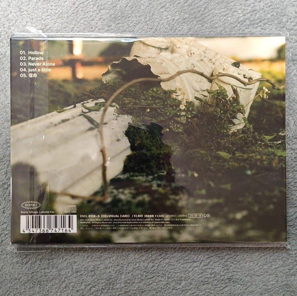 [USED] Stray Kids Hollow CD Limited Edition Seungmin Ien Skiz