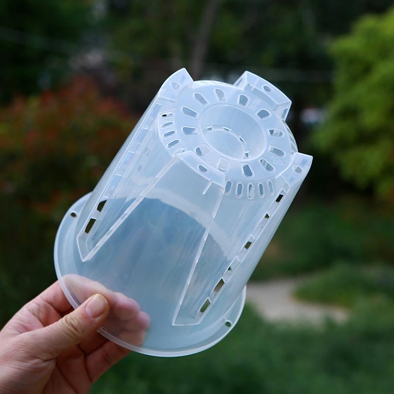 Transparent Breathable Flower Pot for Phalaenopsis and Dendrobium - Root Control Design