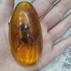 1Pc Insects Amber Gemstone Scorpion Natural Mineral Home Decor Insects Amber Gemstone Diy Hand Crafts Gift