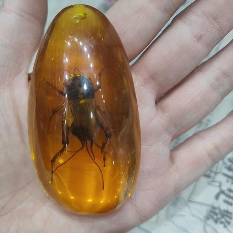 1Pc Insects Amber Gemstone Scorpion Natural Mineral Home Decor Insects Amber Gemstone Diy Hand Crafts Gift