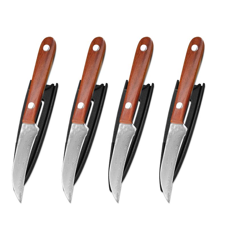 Professional Kitchen Boning Knife Damascus Steel Chef Slaughtering Fish Meat Cleaver Cutting Knives for Fruit Cooking Tools