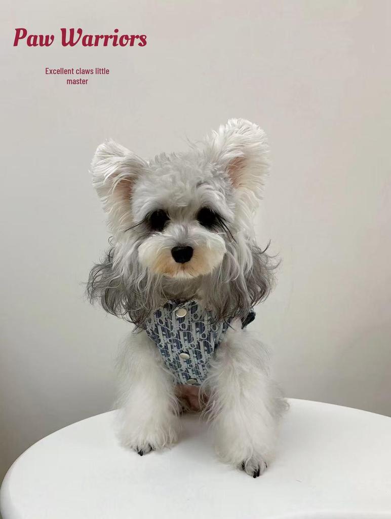 Trendy Denim Patchwork Vest for Small Dogs & Cats - Sleeveless Pet Apparel for Puppies, Teddy, Bichon, Corgi