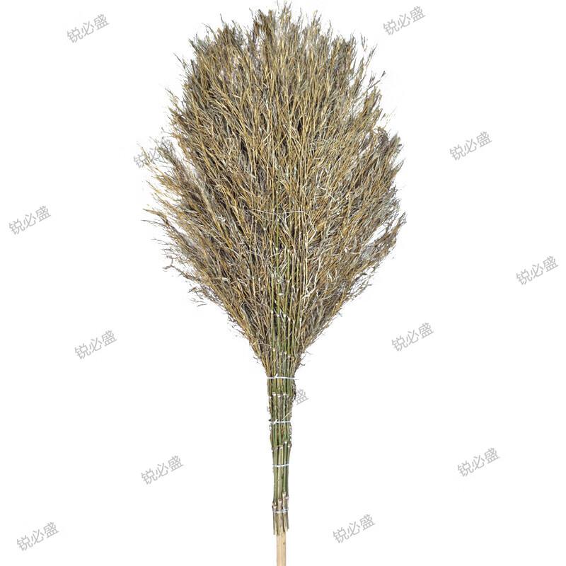 Heavy-Duty Wooden Handle Road Broom