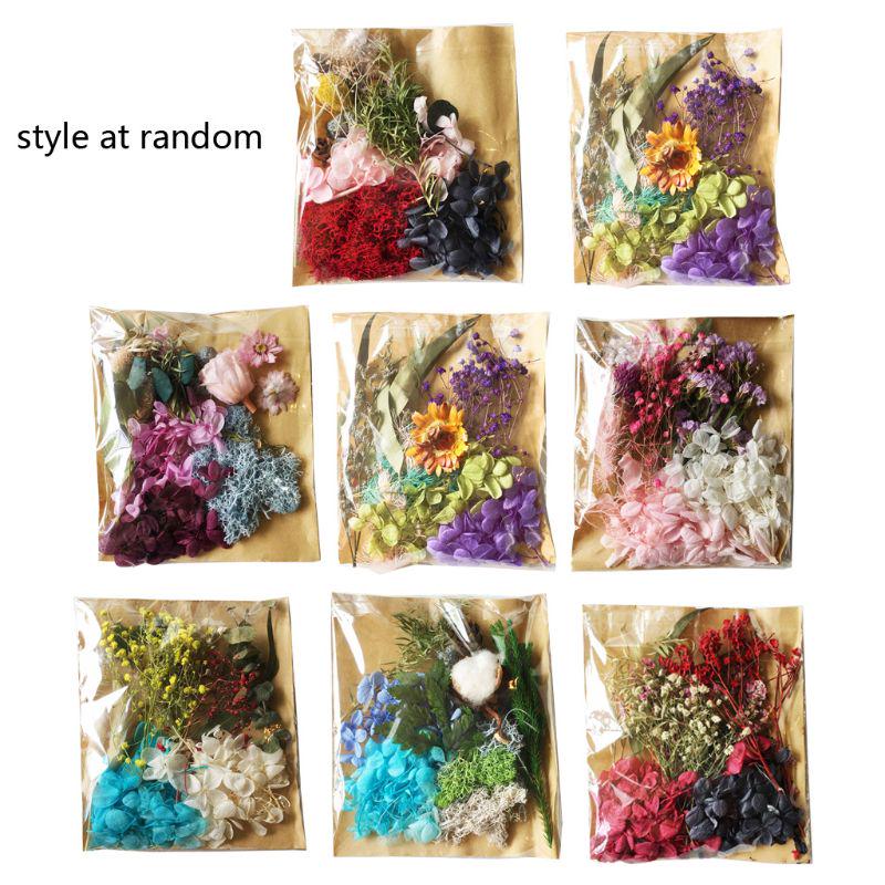 

Настоящие прессованные листья цветов, натуральные сушеные цветы маргаритки, эпоксидная смола, заполнение форм для самостоятельного изготовления ювелирных изделий из эпоксидной смолы, скрапбукинг