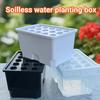 No-Electricity Hydroponic Growing System Soilless Vegetable Herb Seedbed Starter Kit Black/White/Transparent for Balcony Indoor