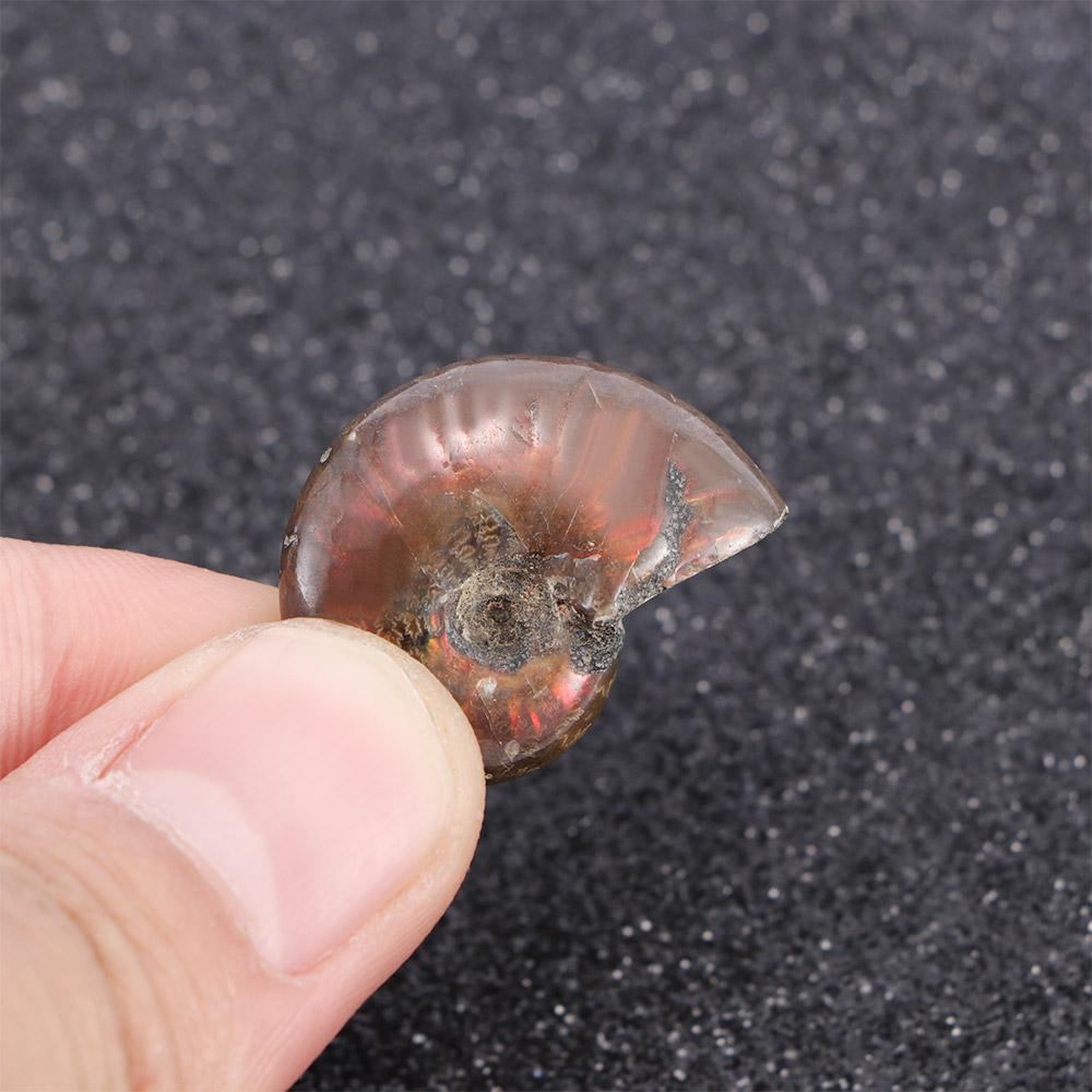 Luck Mascot Madagascar Stone Collectibles Iridescent Specimen Natural Ammonite
