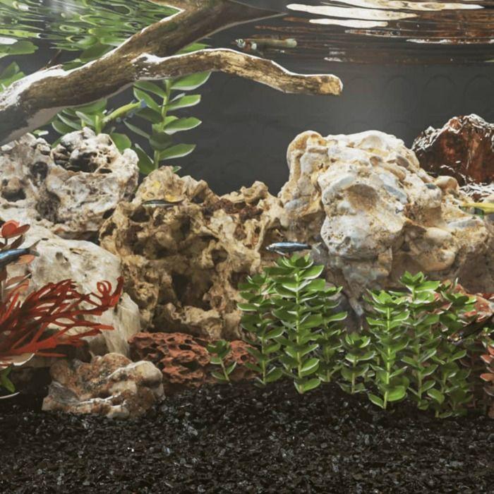 Décoration pour aquarium - vidaXL - Pierre du dragon - 100% naturelle - 5-30 cm - Marron