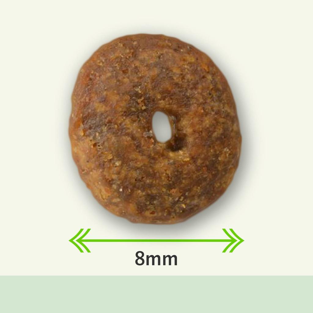 Planet Pet Chicken Turkey Dog Food 2kg For small and with 13 types of superfoods and lactic acid bacteria necessary for digestive Nurture and