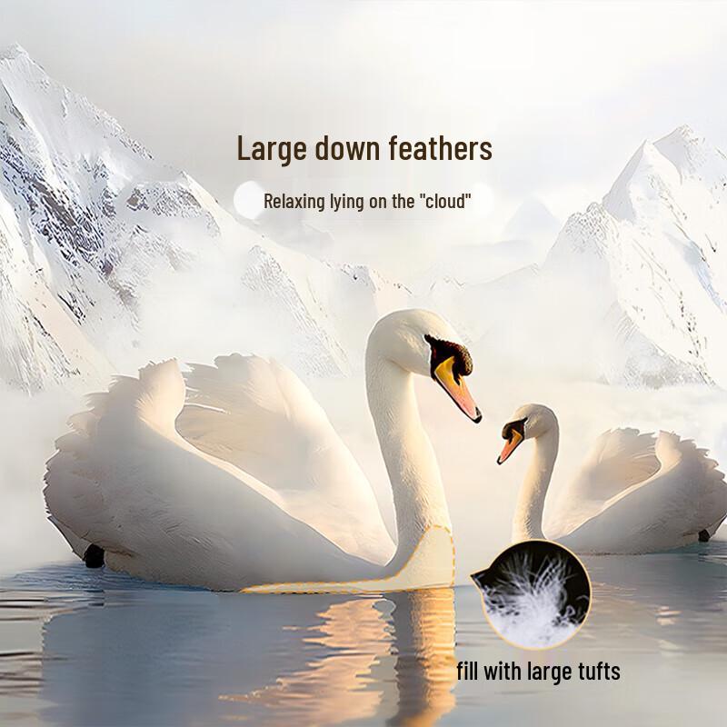 Fuanna 50% White Goose Down Winter Comforter