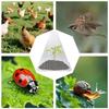 Conical Plant Seedling Protective Plastic Plant Cone Cover Reusable Nursery Seedling Planting Tent Anti-Bird Pest Snail Prevents