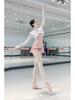 Women's Ballet Dancewear Long Sleeve Mesh Crossover Top - Yoga, Classical, Modern Practice & Sun Protection Shirt