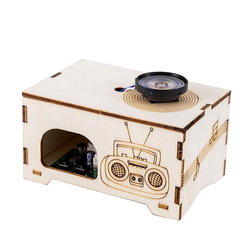 Hand-Cranked Generator DIY Science Kit: Educational Toy for Elementary Students