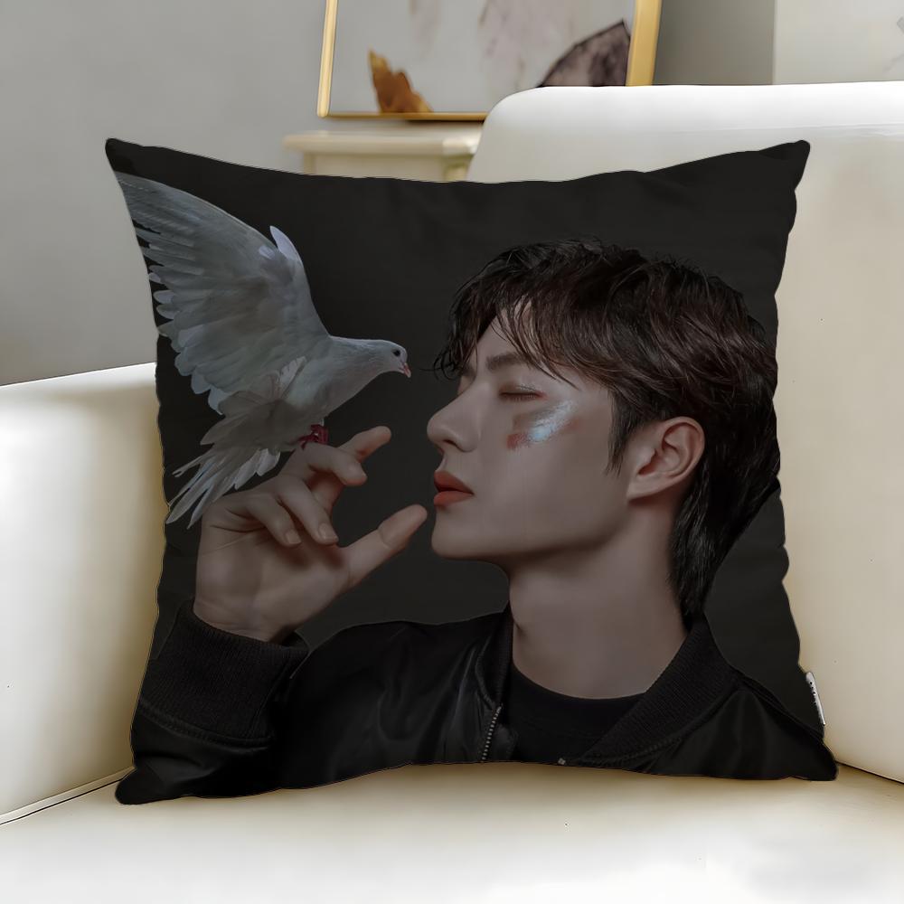 popular actor Wang Yibo Cushion Cover Soft & Easy-Wash Pillow Case – Versatile for Couch, Bed, Travel and Office