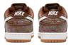 Nike Dunk Low Pro Premium Sb 'Paisley' DH7534-200