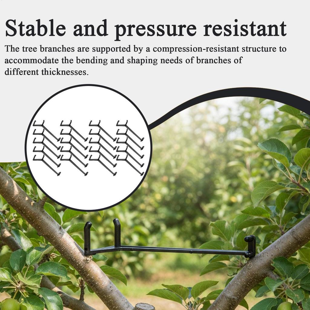 Plant Branch Support 20 Pieces Straightening Tool Adjustable Limb Spreaders For Fruit Trees For Repair Staking Leaning Gardening