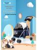 Kitty Teddy Portable Pet Stroller: Lightweight, Folding, Car-Mounted for Small Pets