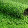 Xiaobing Artificial Turf Grass Carpet