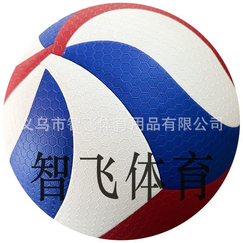 Soft PVC/PU Glued Volleyball School PE Exams Training Competition 5 Inch Size