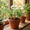 Water Conservation Succulent Plant Sprinkler Transparent Automatic Watering Device  Indoor Plants