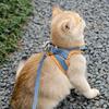 Pet Reflective Harness + Leash (M) (Orange + Blue)